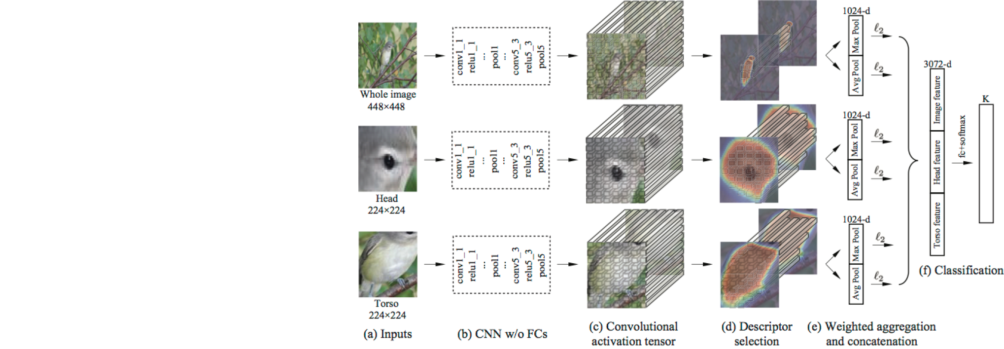 MaskCNN_framework